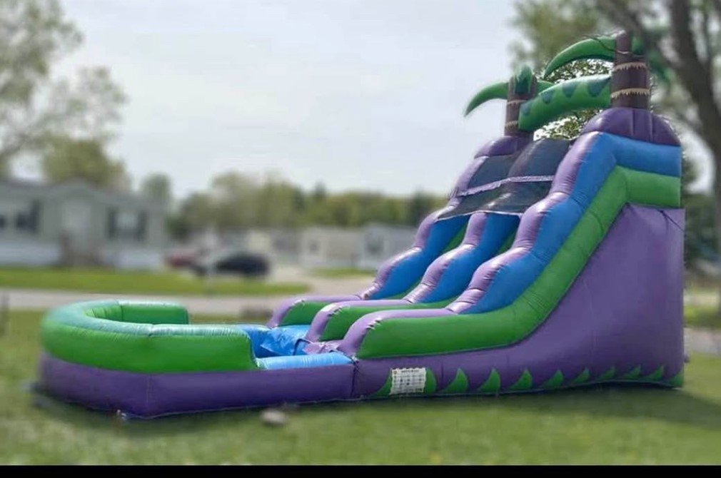 The Tropical Purple Oasis Slide